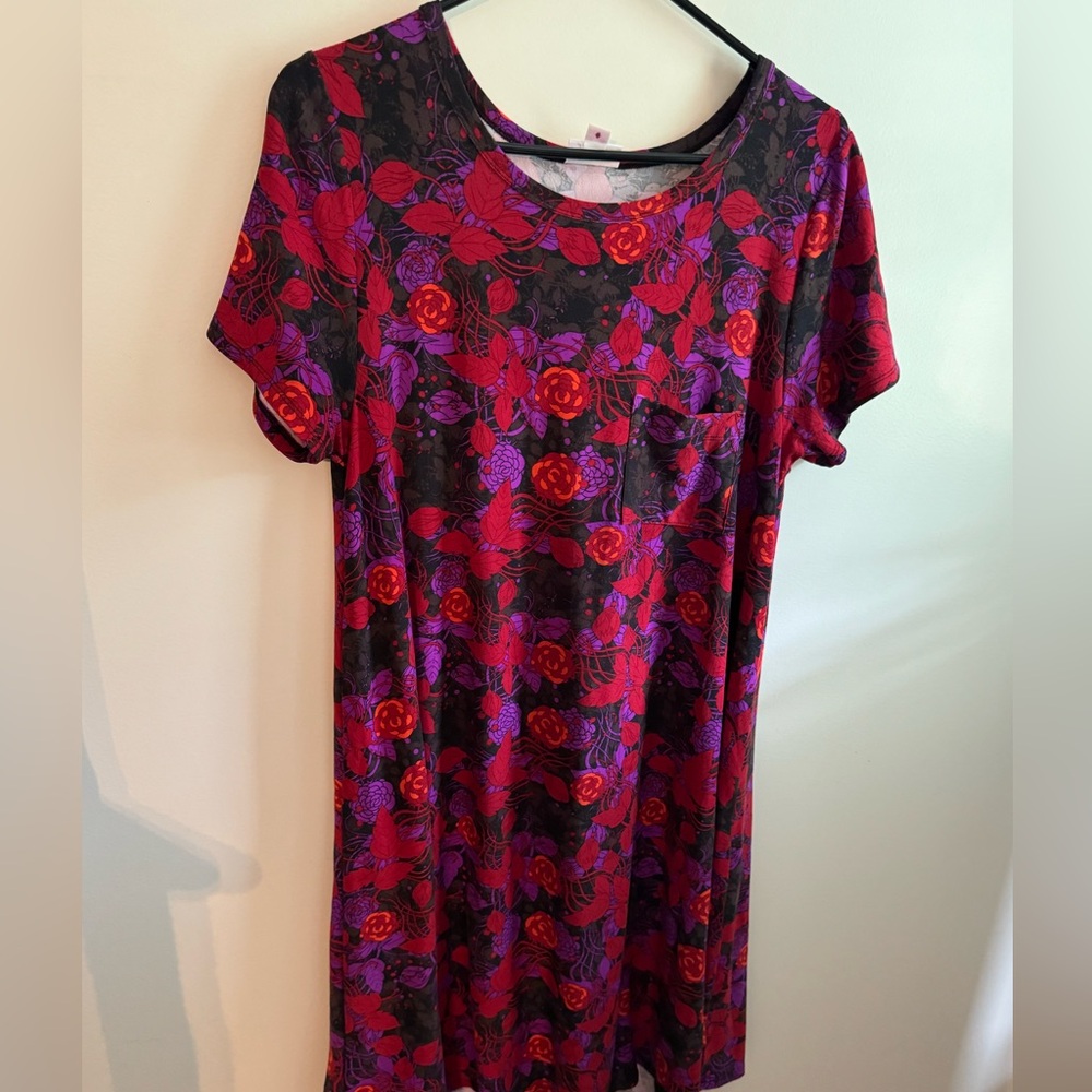 Lularoe Carly high low swing dress.